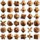 Liuxia Luban Lock 10-15 Jahre altes Set von Kongming-Lock-Buche-Leichen- und Zapfenentwicklung intellektuelles Spielzeug pädagogischer Kinder und Studenten [High-End-Geschenk] Holzbox D.
