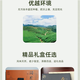 
Qiqin QI QIN TEA Pinghe Baibu Qilan Oolong Tea Geographical Indication Famous Tea Gift Box High-end Gift 25 Years New Tea Spring Tea Premium Gift Box-Gold Award