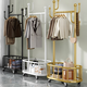 Nifeng clothes hanger floor-standing bedroom clothes hanger removable wheeled household simple coat rack indoor room clothes drying rack light luxury gold 55cm 4-hook mesh basket