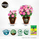Meileke universal nutritional soil for flower cultivation, special succulent flower soil planting soil, flower and rose vegetable planting soil, universal nutritional soil 2.5L