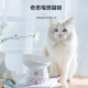 Meow Fairy Cat Bowl Ceramic Neck Protector Anti-Tip Cat Food Cat Food Bowl Pet Bowl Dog Bowl Food Bowl Cat Supplies