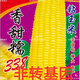 Waxy corn seeds Northeast old variety yellow sticky corn seeds - Kennian No. 1 sweet and soft waxy grains with large skin and thin skin sweet and glutinous 338 original factory original 100 grams