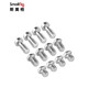 SmallRig Universal Standard 1/4 Fixing Screw Pack includes Hex Wrench Set 12 Small Screws SLR Camera Photography Accessories 1713 [12 1/4 Screws] 1713