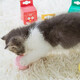 兴达万宠  猫玩具球 引力叫叫球自嗨耐咬幼猫磨牙发声逗猫球玩具球猫薄荷宠物解闷神器猫咪用品 粉色-小鸟