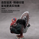 儿童玩具仿真动物模型鸟类套装大嘴鸟鹦鹉鸵鸟孔雀小鸟火鸡男孩女 723红色金刚鹦鹉