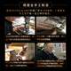 SEYDEL德国进口SEYDEL赛德 十孔10蓝调成人口琴 1847 CLASSIC 10孔G调