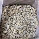 Panax notoginseng de Panax 40 têtes 60 têtes à Wenshan, Yunnan. Printemps. Tianqi Chinois Herbal Medicine Tianqi est facile à poudrer. Wenshan. Panax notoginseng de Panax lyophilisé 30 têtes 500 grammes.