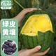 Shouhe watermelon seeds seedlings potted early maturing yellow heart gift melon fruit seeds Weifeng Xiaofeng watermelon seeds 15 pieces