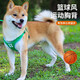 COCS狗狗牵引绳背心式中小型犬狗绳篮球运动风柯基柴犬遛狗绳狗胸背带 绿色(胸背+1.45米绳子) L（胸围60-76cm 建议25-45斤）