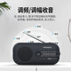Panda (PANDA) multifunctional emergency radio for the elderly, hand-cranked power generator, combat preparedness, disaster prevention, flashlight, lighting, charging, outdoor portable FM broadcasting, semiconductor reserve supplies 6251, hand-cranked power generator/SOS alarm/lighting radio