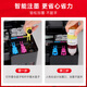 臻印彩适用佳能G2870 G3870 G3871 G3872 G3831 G3880 G4891 G4881 G4880喷墨打印机墨盒墨水 【黑/红/蓝/黄】GI-81四色连供墨水套装