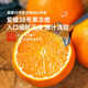 
Uncle Sam Sichuan Ehime No. 38 Jelly Orange Seasonal Fruit Citrus Rock Sugar Orange Orange Ugly Orange Gift Box New Year's Gift [Sweet-Tribute Fruit] 20-Year-Old Tree | Single Fruit 75-80mm 5Jin [Jin equals 0.5kg] Gift Box [Gift Recommendation] Net 4.5Jin [Jin equals 0.5kg]