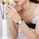 
Emporio Armani watch ladies, sister-in-law, the same style as the star-shaped watch, birthday Valentine's Day gift for girlfriend AR11150 [classic small green watch]