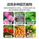 Basemanwei flowers, vegetables and fruit trees phosphate fertilizer fertilizer flower growing fertilizer urea compound fertilizer nitrogen, phosphorus and potassium succulent fertilizer urea 80Jin Jin is equal to 0.5 kg