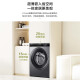 海尔（Haier）【40CM超薄】滚筒全自动8公斤洗衣机变频一级节能大容量白色/黑色薄款家用香薰洗525大桶径 【2024新品】8KG14126升级MATE33S 405超薄机身+香薰洗+桶自洁