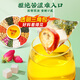 南同四海南京同仁堂散蒲公英桑叶茯苓茶菊苣结苦荞消青钱柳节除山楂养生茶