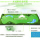 B.C.GOLF Golf Putter Practice Outdoor Indoor Green Golf Practice Range Home Office Golf Practice Luxury Competition Grass 1.5*3.5 meters