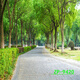 莎庭（SARTILL）主播背景布3D立体网红直播间背景山水户外风景背景布 ZP-11162 3米宽+3米高