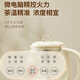 Jiuyang Jingcui health pot household 316L stainless steel heating plate tea maker spray wake-up tea gentle stew 1L office constant temperature kettle WY152 state subsidy spray tea brewing 1L