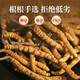 余仁生 冬虫夏草 干虫草约3-4根/克35#2g 约7根 洁净饱满 礼品节日送礼