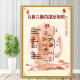 Clceys Krankheit Schritte Stufen Poster Bild Chinesisches Medizin Gesundheitszentrum Dekoration Malerei Gesundheitsversorgung neun Arten von Wandaufklebern Moxibustion 3 PP Kleber 90*12048 Zoll