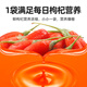 杞里香尝萃红枸杞原浆礼盒1.8L（30ml*60袋）宁夏红枸杞水原汁液NFC礼品