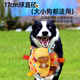 HOUYA dog toy ball sound toy pet dog relieves boredom, bite-resistant and consumes energy interactive toy