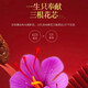 Qizhitang Tibetan Saffron Sponge Exercise for Health Preservation Gifts for Parents and Elders Saffron 6g (First Special-A Level)