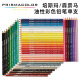 Prismacolor Pili American Pili Oil Color Pencil 150 Color a todo color Pintura de lápices de lápiz de color adulto Estudio Arte Estudiante Profesional Profesional Arte Color Pencil PC1098 Corea del Norte Amarillo