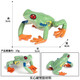 Oenux Simulation cognitive grenouille jouet solide enfant de poupée pour enfants Small Ornaments Bullfrog Frog Frog Bullfrog Frog Toad 1429 Africain Reed Frog
