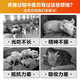 Male herding pig day length fattening pig fattening and weight gain growth-promoting concentrated feed for piglets to be slaughtered early and fattening premix for big pigs 3 bags ready for delivery
