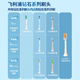 飞利浦（PHILIPS）【肖战推荐】电动牙刷钻石9系Pro 成人情侣款送男生/女友 生日父亲节礼物 充电旅行盒 HX9912/77黑
