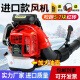 Kezhitu Custom SMV allemand allemand à quatre temps Piggyback Sèche-cheveux Séchonge-neige Snaiteur haute puissance du vent puissant