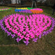 Yingrong Windmill Outdoor Dekoration Sport trifft Kindergärtnerin Kinder handgefertigtes Windmühle Spielzeughänge Salon Vierblatt Farbe 23cm100 gemischte Show Siehe das Hauptbild