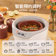 Yili electric stew pot, electric stew pot, stew pot, 4-person household water-proof stew pot, electric casserole, purple casserole, porridge pot, stew rice, health artifact, scheduled time, one pot, 4 gallbladders, 3.2L DZ32-1 3.2L *2-4 people