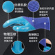 定适用耐磨手套劳保带胶乳胶防水耐油防滑劳动工作工地干活胶皮 耐磨王A688手指平挂款（12双） L