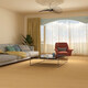 Madre simple ladrillo anti-slip 600x1200 sala de estar e imitación de madera de madera grano de madera 12027