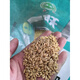 Upland rice seeds Zhenghan No. 10 Rice sown on dry land in mountains and hills Conventional varieties Japonica rice Indica rice Glutinous rice Zhenghan No. 10 250g bulk