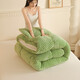 Arctic velvet quilt core thickened to keep warm lamb velvet winter quilt student dormitory single quilt plus double home cover quilt beautiful - bean green [double-sided velvet quilt] 150x200cm6Jin [Jin equals 0.5 kg] (winter quilt)