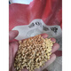 Upland rice seeds Zhenghan No. 10 Rice sown on dry land in mountains and hills Conventional varieties Japonica rice Indica rice Glutinous rice Zhenghan No. 10 250g bulk