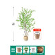 Hua e flow simulation hanging bell tree horse drunken wood plant clothing store bionic fake green plant decoration potted indoor living room floor-standing ornaments 1.8m multi-pole + lined rattan basket