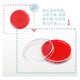 Plate-forme d'impression de charcuterie à séchage rapide grande plate-forme d'impression en plastique transparent 9863 Plateforme d'impression à séchage rapide (rouge) (uniquement)