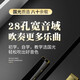Guoguang Shanghai Guoguang eintägige Doppelreihe-Harmonika 28-Loch