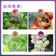Fumei Shipu hyacinide iprodione tomato apple grape early blight spotted leaf disease gray mold fungicide pesticide 100ml