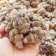 三七降价云南三七批发100头正宗文山三七头整个三七粉田七头干货 三七切片500克（净重）
