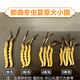 东仔【西藏那曲】野生冬虫夏草高海拔野生虫草断草滋补品礼盒送长辈 【西藏那曲野生】大号断草-全家滋补 20克（礼盒装）