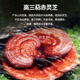 Qiangbeiguan Organic Break Wall Ganoderma lucidum spore порошок [Triterpene 16%] Органическая синяя шляпа двойная сертифицированная здравоохранение после операции Тоники 6 Продуктов 6 Коробок (второй год) Получите еще одну коробку (80%), чтобы купить.