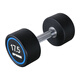 Kang Lejia K-YL fixed dumbbell gym home commercial set for arm training, rubberized dumbbells, no odor professional dumbbells 2.5KG two packs