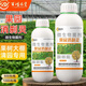 Kewohua Orchard Xiaoshaling disinfecting Spirit Clearing Shed Sterilization, Suppressing Diseases, Repairing Wounds, Strong Penetration, Clearing the Garden Microbial Bacteria Kevohua Xiaoshaling 1000g/bottle*one bottle