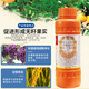 Guoguang Guanchi 4% gibberellic acid 920 grape, mango and citrus improves fruit setting, promotes germination and elongates fruit ear regulator 400ml